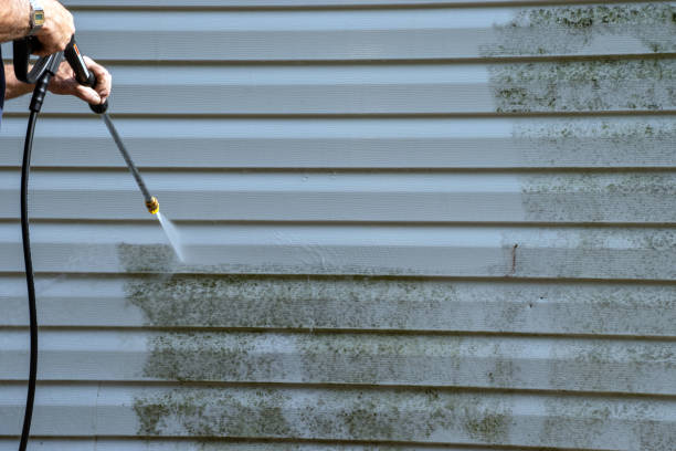 Affordable siding repair and maintenance services in South Pekin, IL