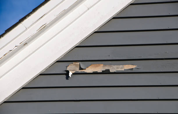 Best Wood Siding Installation  in South Pekin, IL